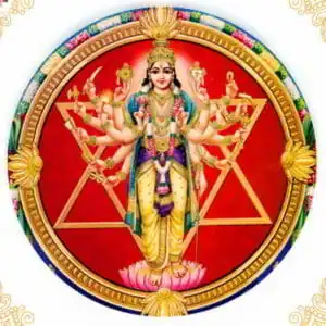Sudarshana Homam for Protection & Health